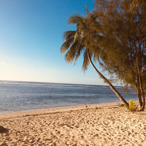Een zonnig strand met palmbomen op het eiland Rarotonga, een van de Cookeilanden