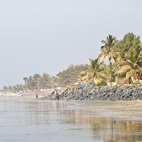 Mensen wandelen op Senegambia-strand langs de palmbomen in Serekunda