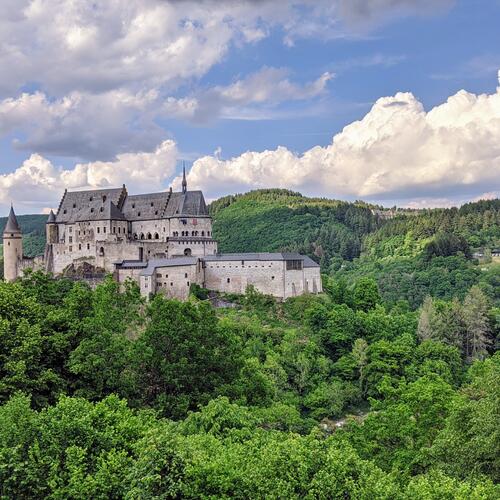 Kasteel van Vianden, omringd door bossen.