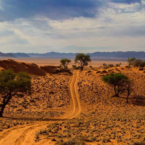 Woestijnweg in Namibië.