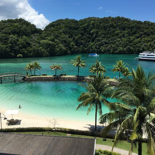 Palau is een waterparadijs met zandstranden en palmbomen.