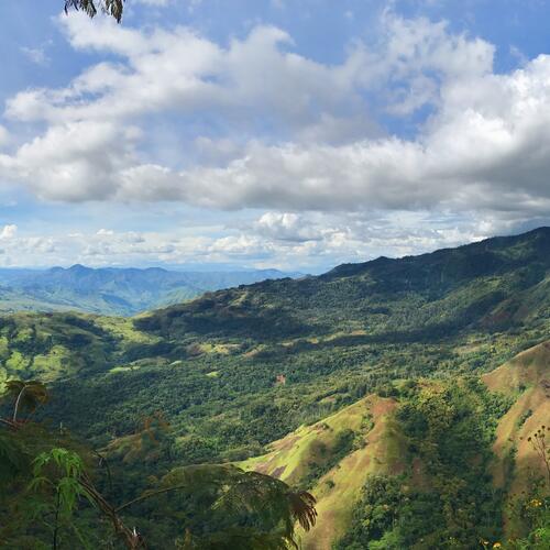 Immense beboste heuvelvlakte in de Eastern Province in Papua Nieuw Guinea.