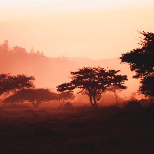 Zonsopgang in de buurt van Kigali.