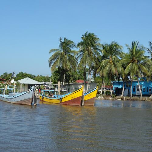 Bootjes in en palmbomen langs een Surinaamse rivier.