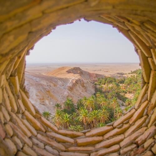 Zicht op een oase nabij de ruïnes van Chebika in Tunesië.