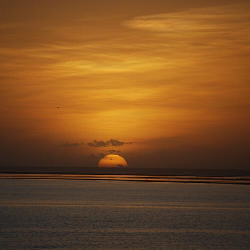 Zonsondergang in de Westelijke Sahara.
