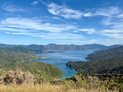 Uitzicht op de Te Araroa in Nieuw-Zeeland