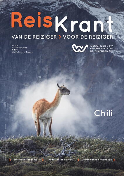 Reiskrant Chili