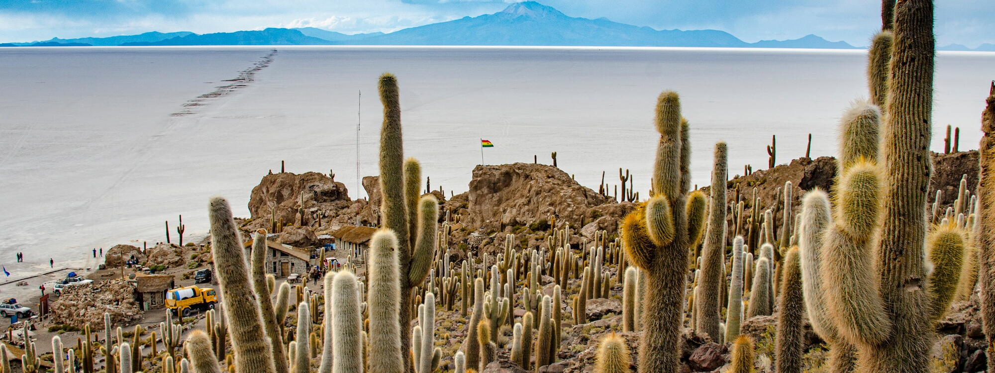 Cactussen aan de rand van de Uyuni-zoutvlakte in Bolivië