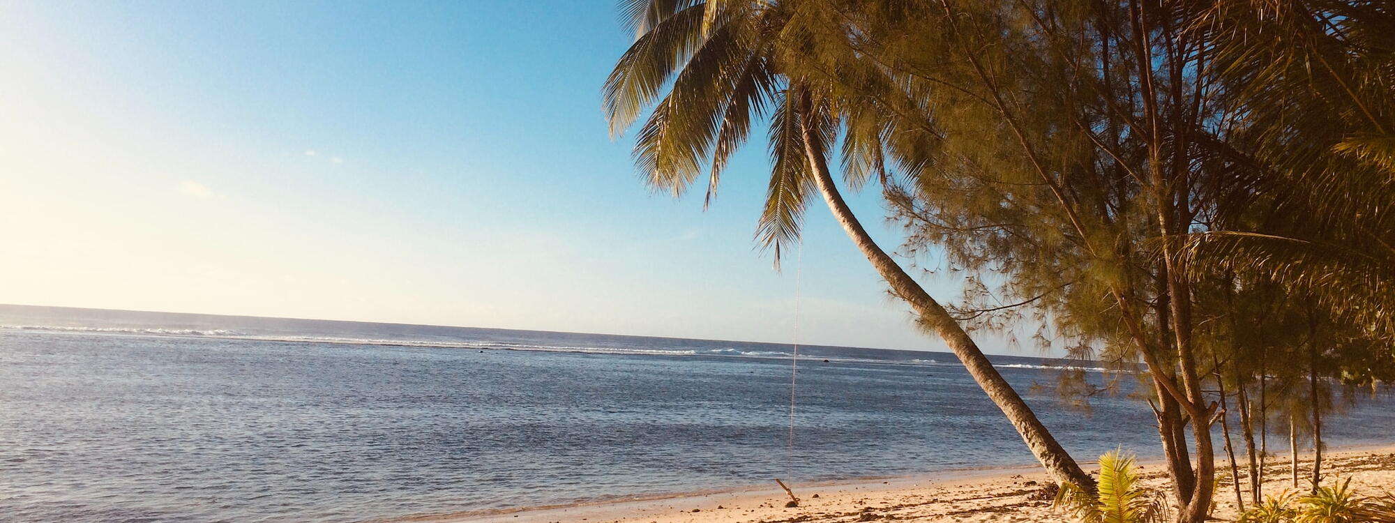 Een zonnig strand met palmbomen op het eiland Rarotonga, een van de Cookeilanden