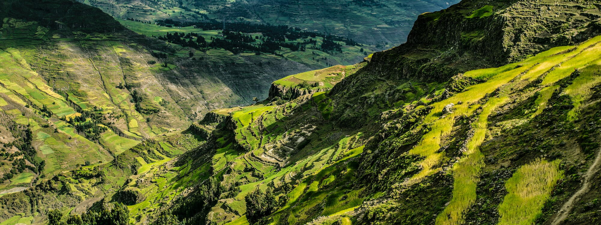 Een zicht op de groene valleien rond de berg Abuna Yosef in Ethiopië