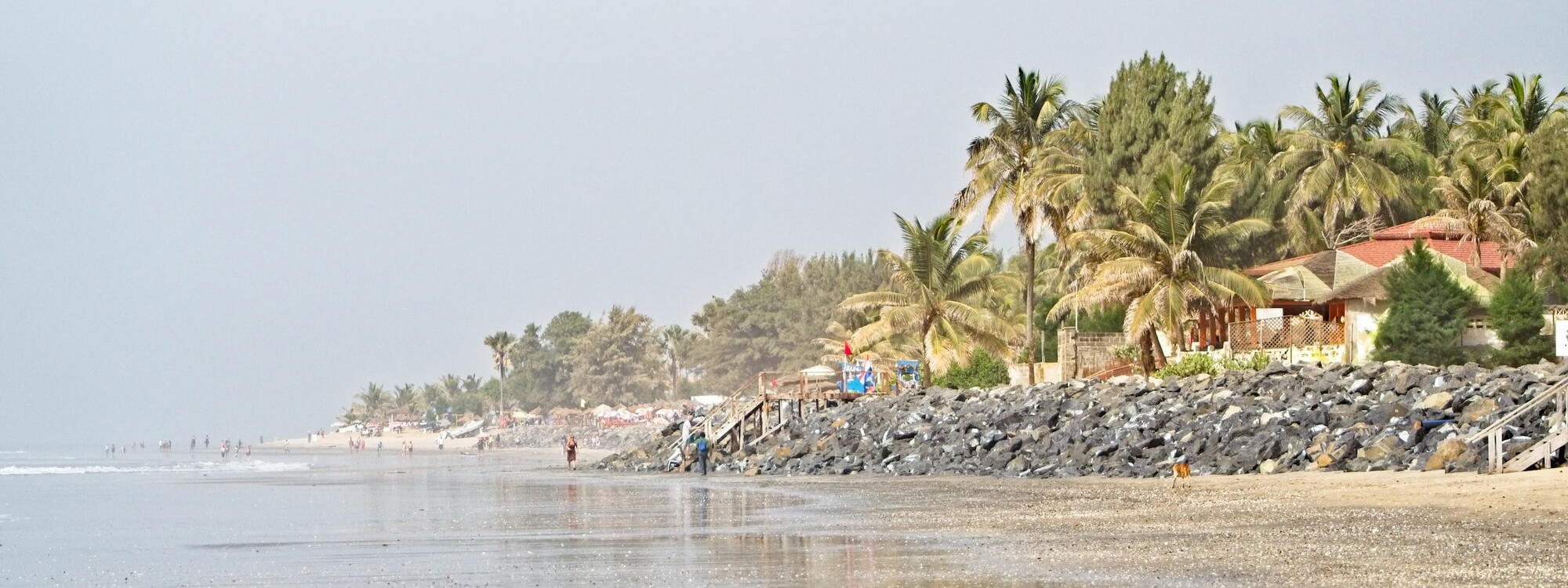 Mensen wandelen op Senegambia-strand langs de palmbomen in Serekunda