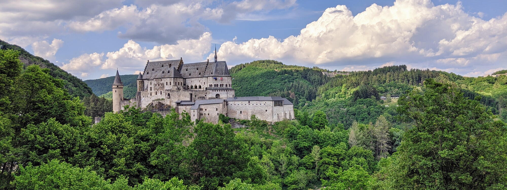Kasteel van Vianden, omringd door bossen.