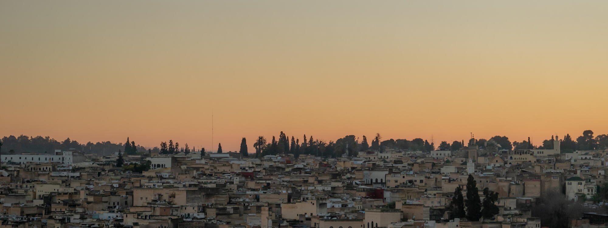 Uitzicht over de medina van Fez.
