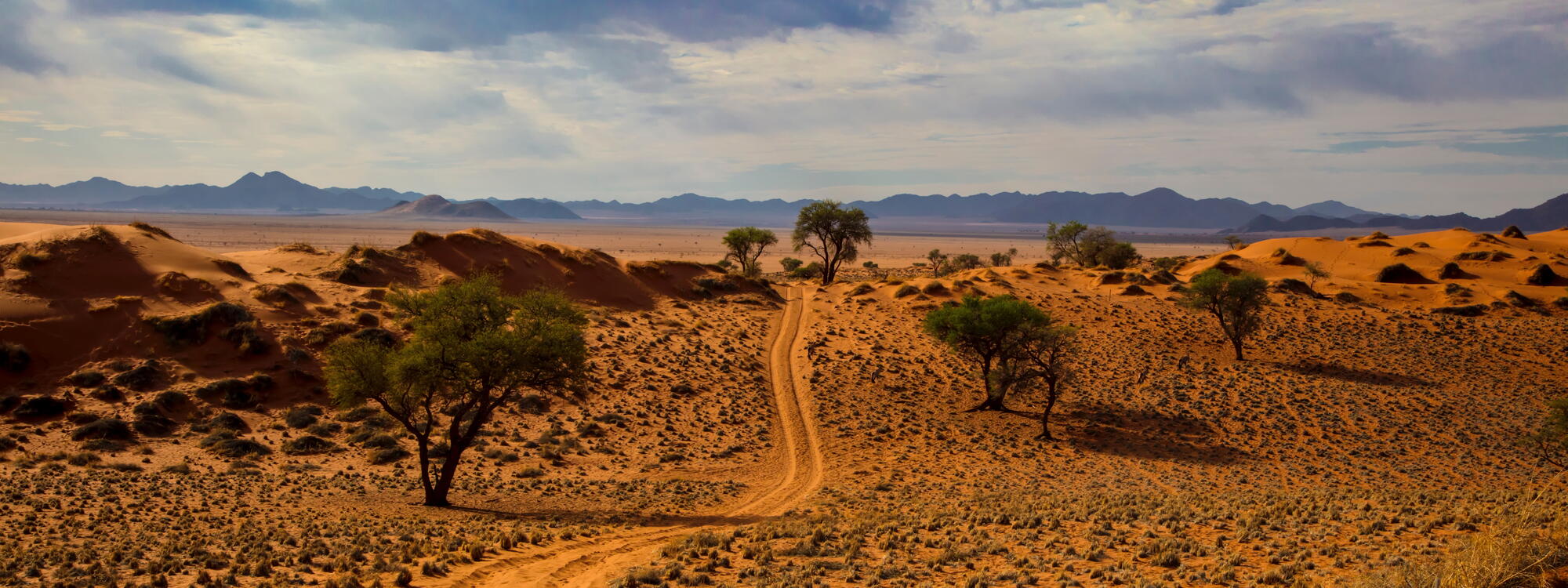 Woestijnweg in Namibië.