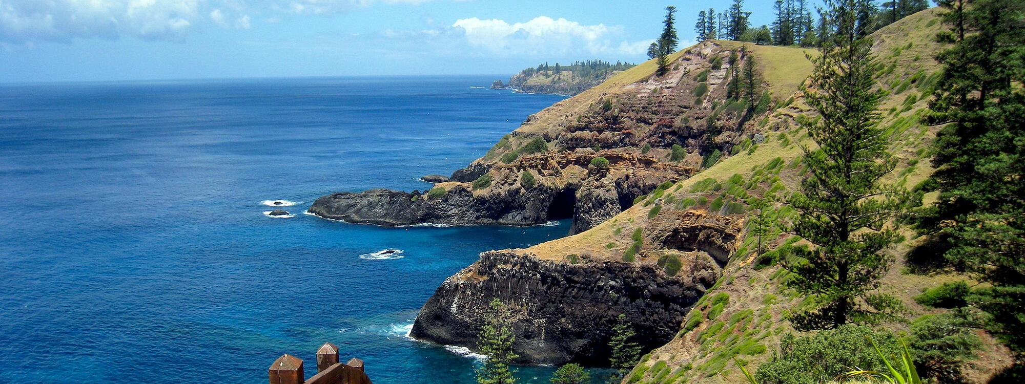 Groene kust van Norfolk Island.