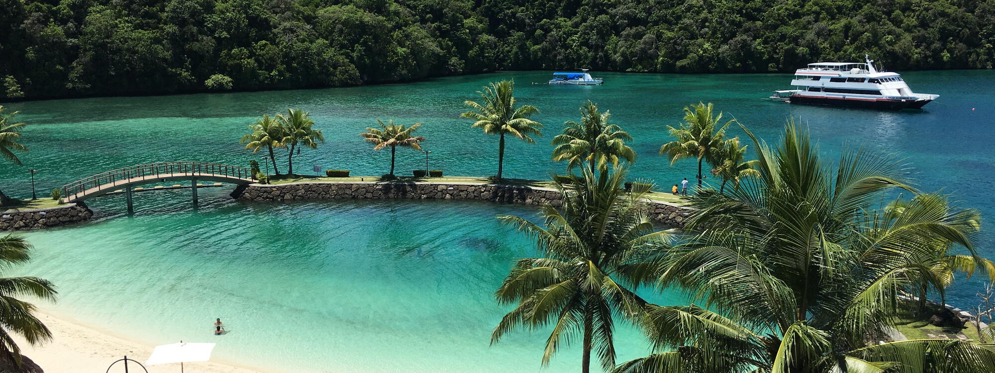 Palau is een waterparadijs met zandstranden en palmbomen.