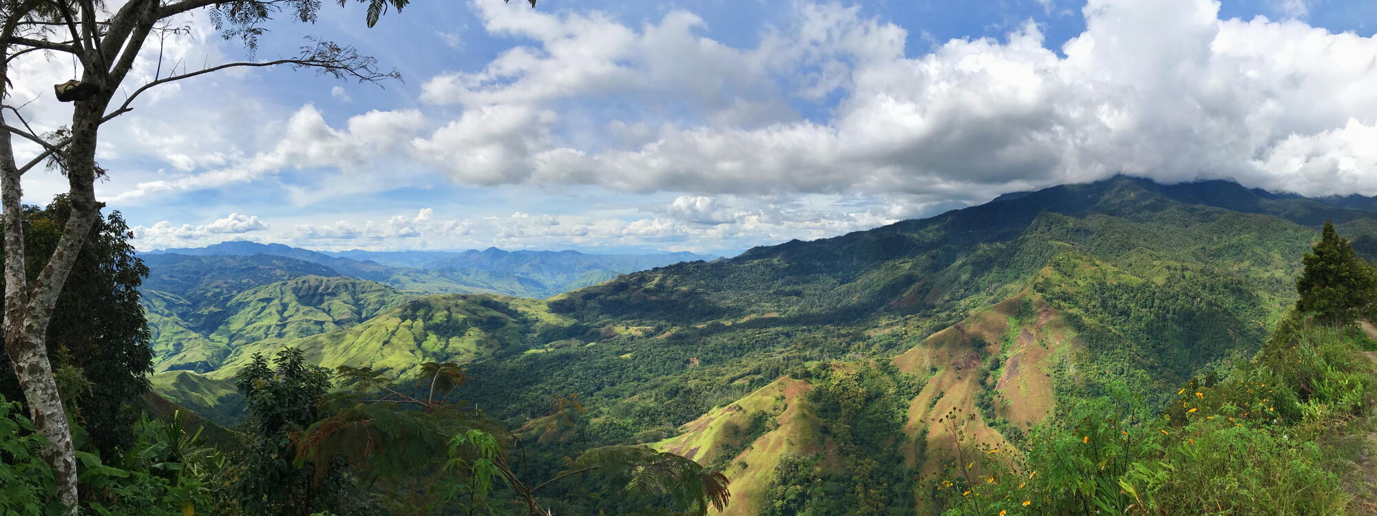 Immense beboste heuvelvlakte in de Eastern Province in Papua Nieuw Guinea.