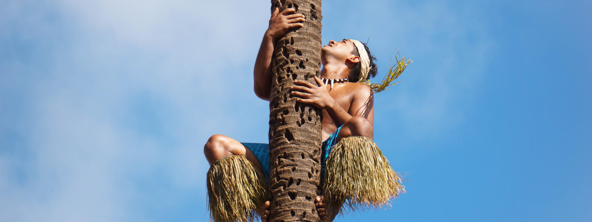 Man klimt in palmboom.
