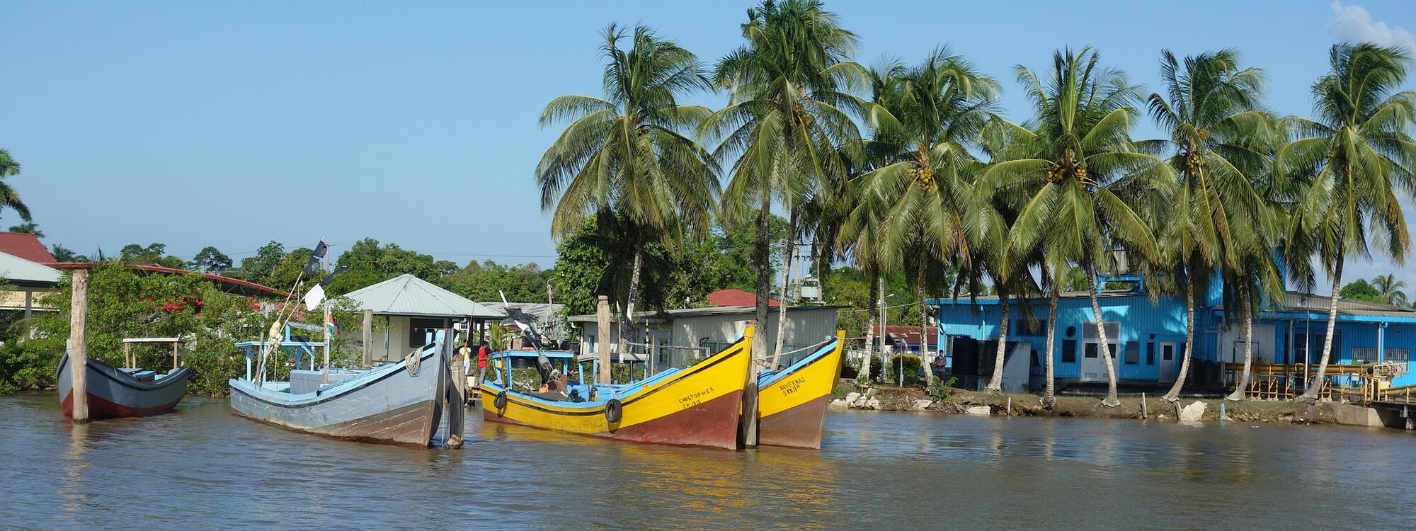 Bootjes in en palmbomen langs een Surinaamse rivier.