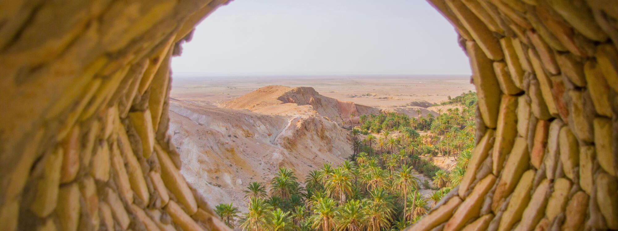 Zicht op een oase nabij de ruïnes van Chebika in Tunesië.