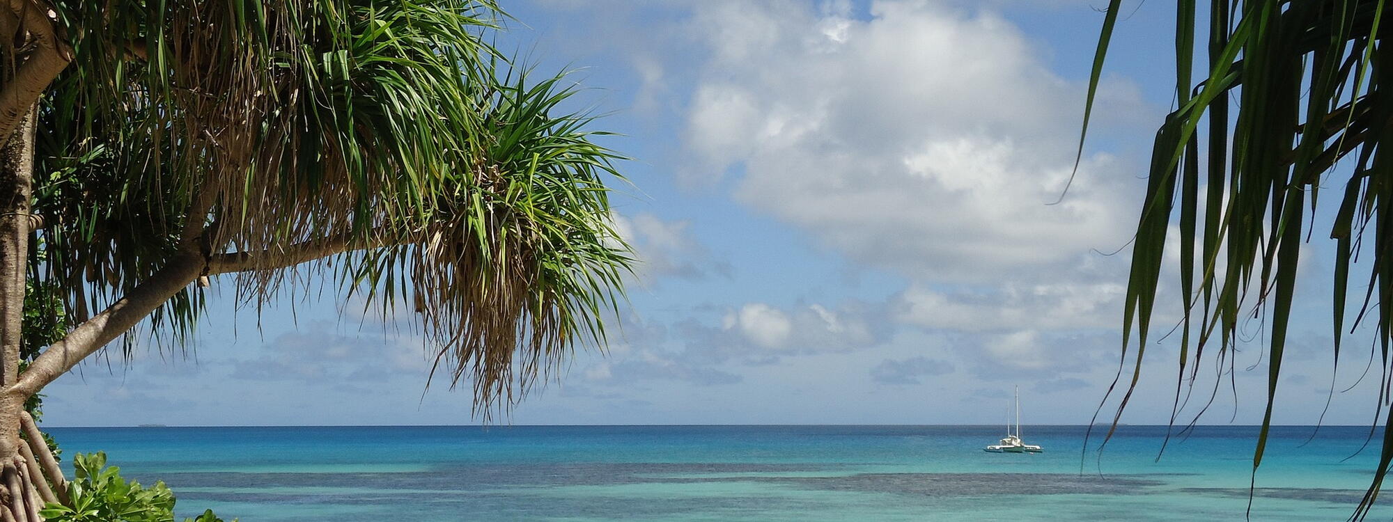 Zicht op de Stille Oceaan, tussen de palmbomen door