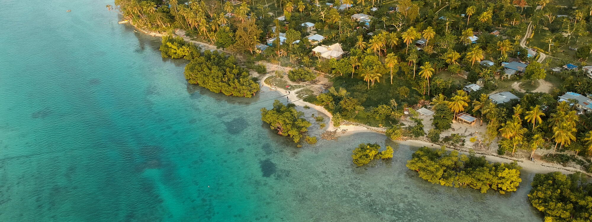 Huisjes en palmbomen langs de oceaan in Vanuatu.