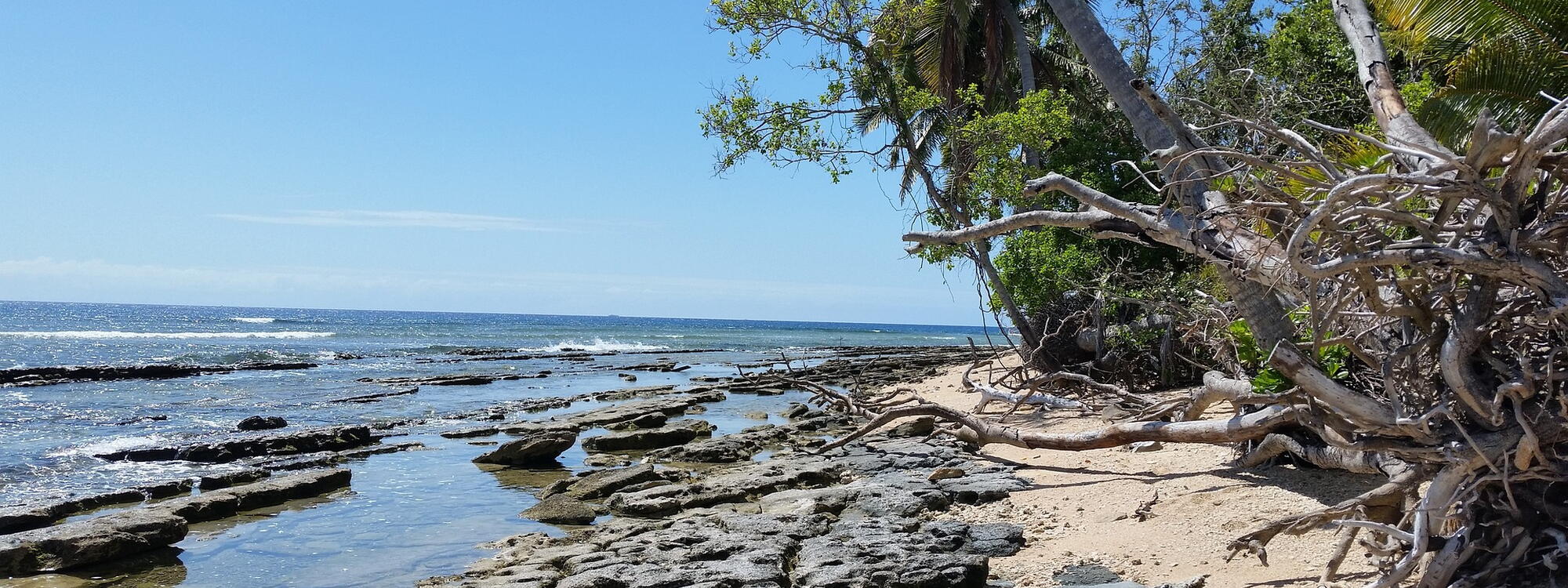 Palmbomen op het strand van Wallis en Futuna.