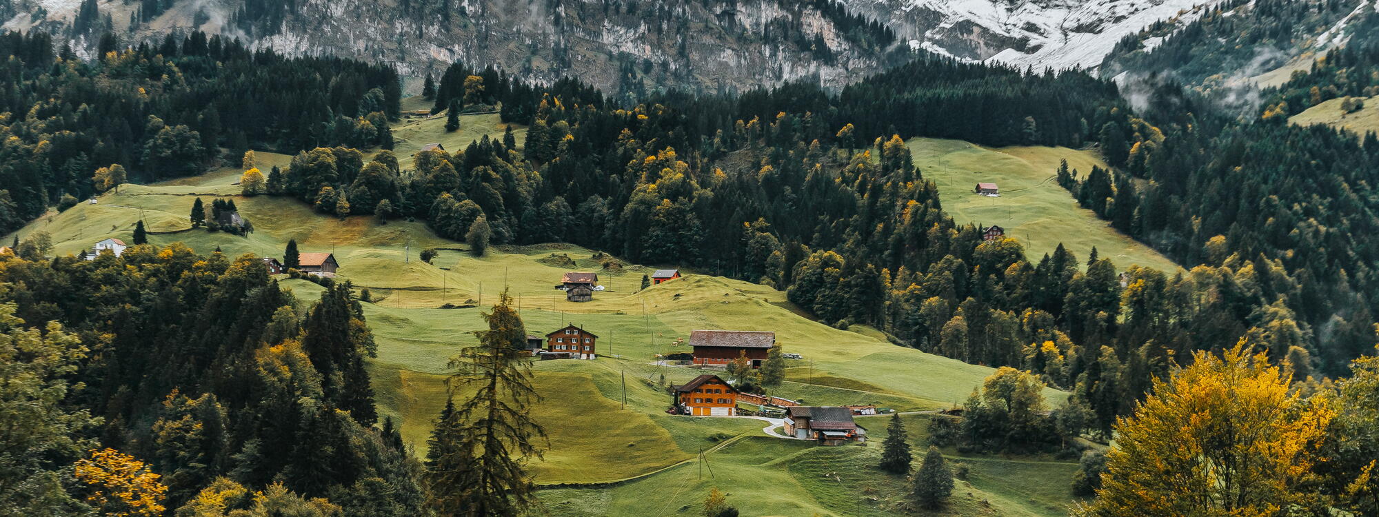Zwitserse chalets op groene heuvelflank, met besneeuwde Titlis-berg in de achtergrond