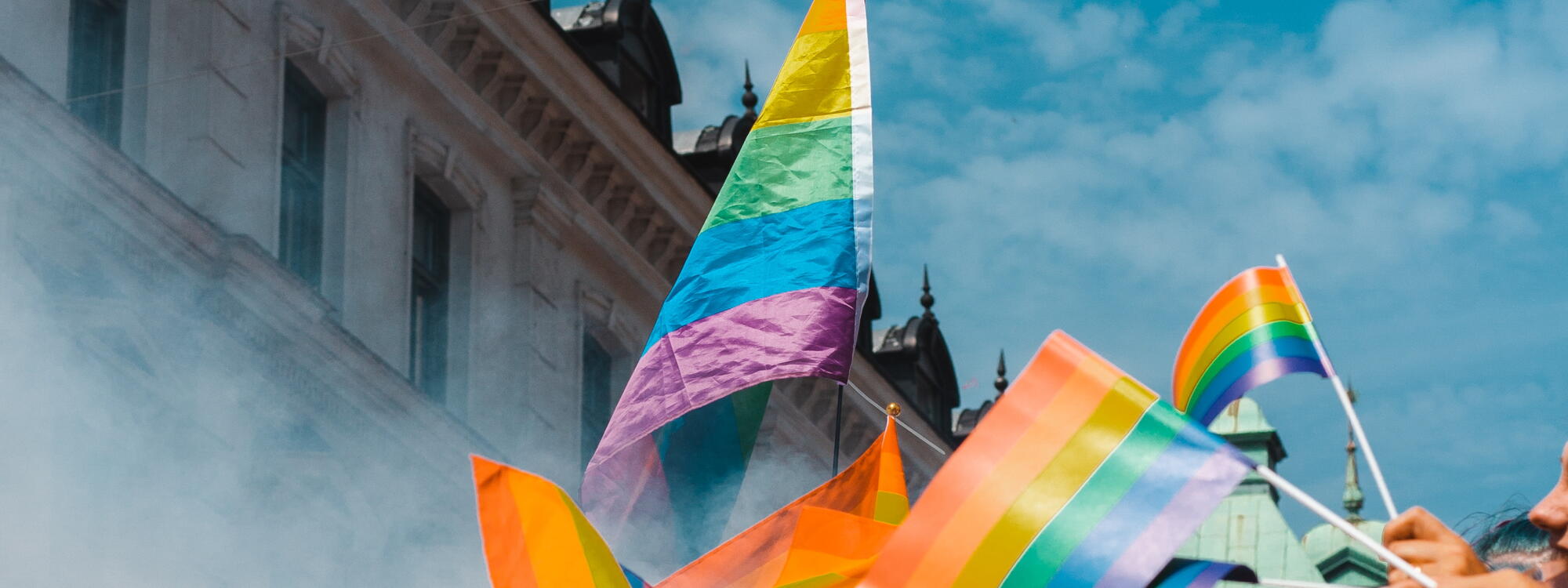 Regenboogvlaggen