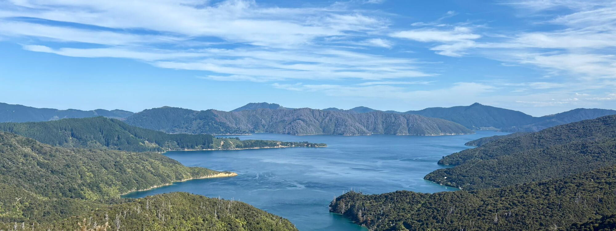 Uitzicht op de Te Araroa in Nieuw-Zeeland