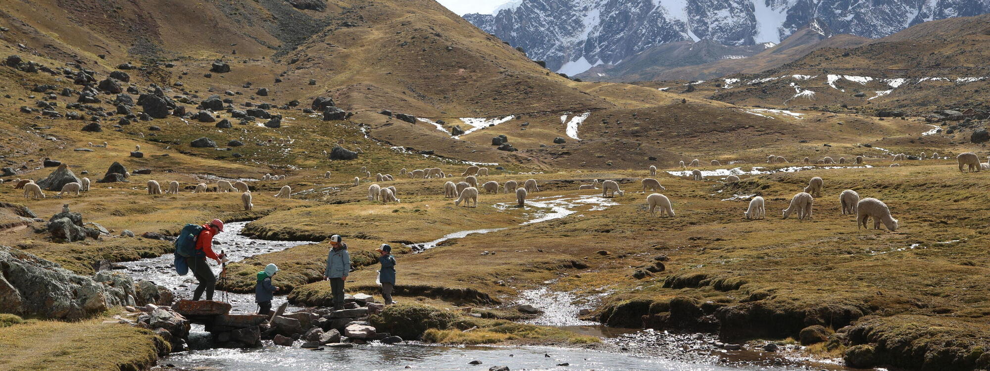 Steve Behaeghel - Peru