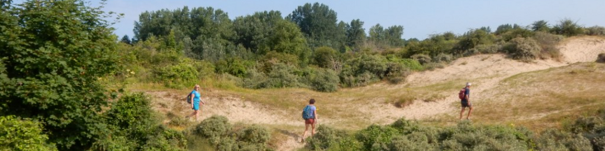 Wandelaars in de duinen