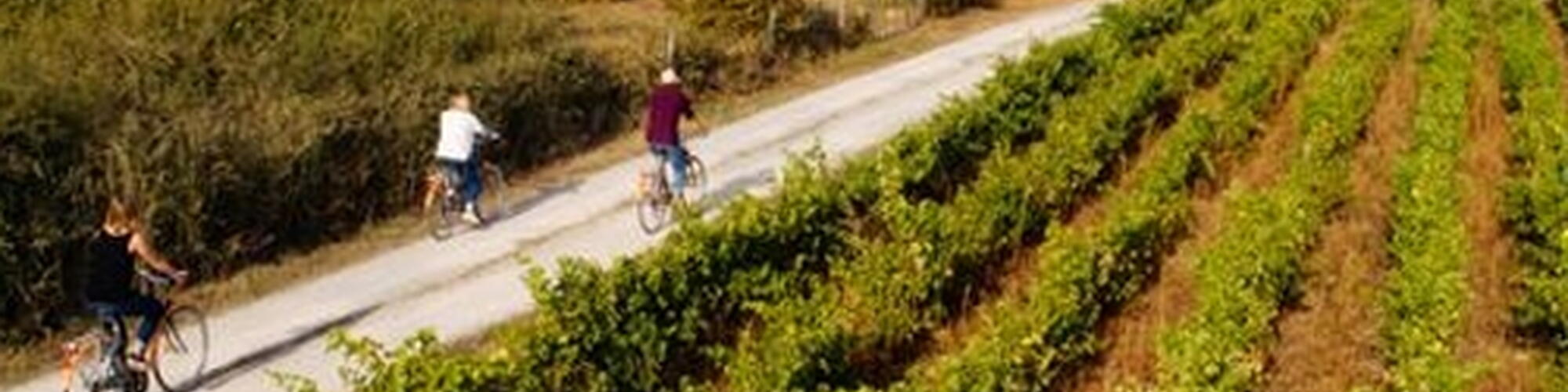 Vallée du Loir met de fiets