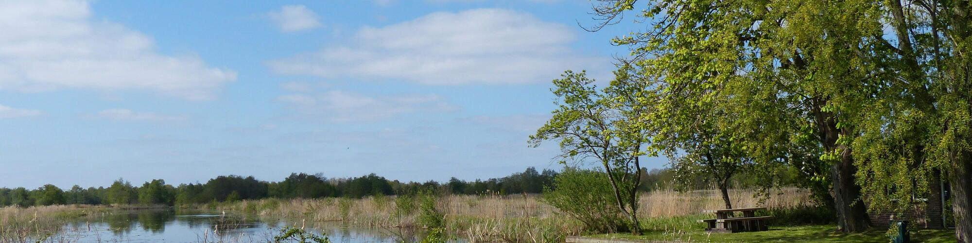 Water en Bomen