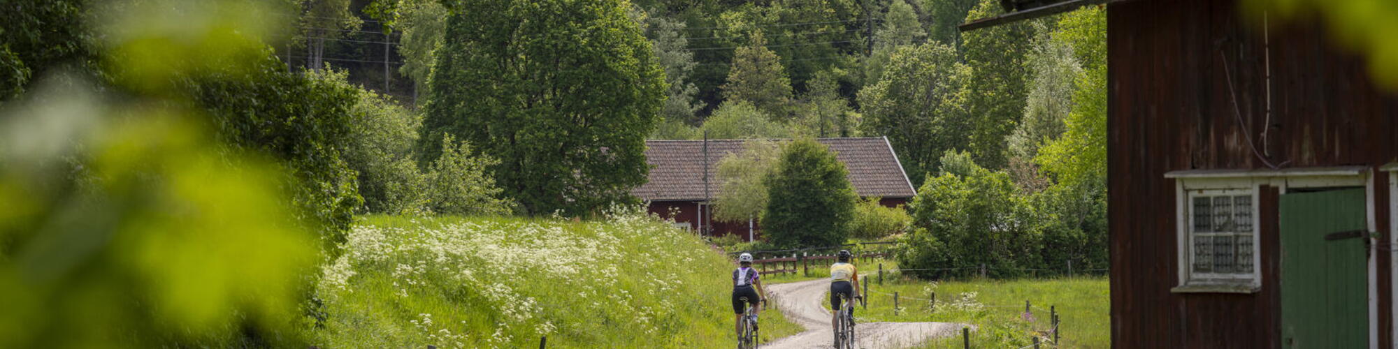 Fietsers op de nieuwe fietsroute van 170 km tussen Göteborg en Falköping