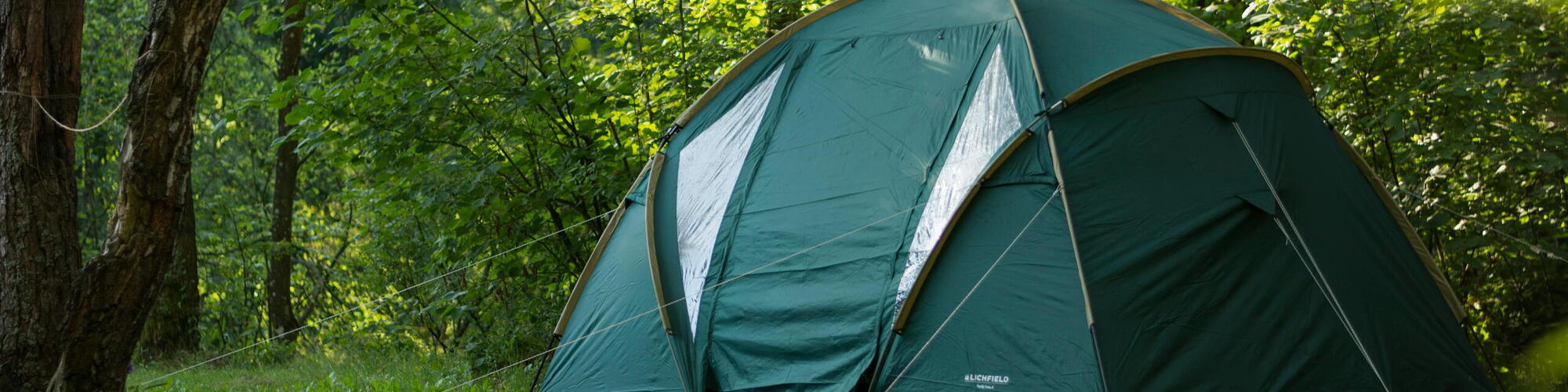 tent in een groen bos
