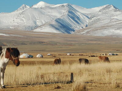foto van Mongolië met bergen en een paard