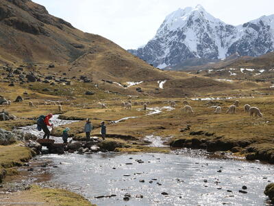 Trekking in Peru © Steve Behaeghel