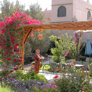 Zicht op de tuin van Riad El Aissi