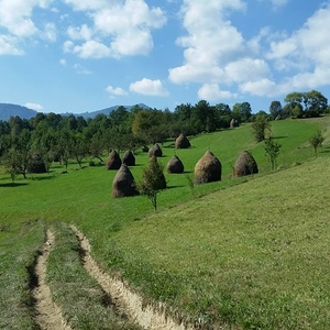 Typisch Roemeens landschap in de Maramures.