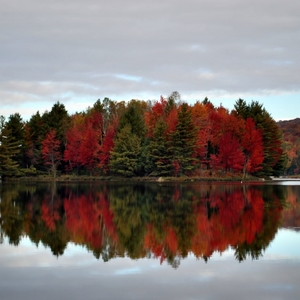 Herfstkleuren in Québec