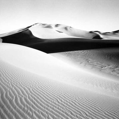 Foto: Patrick Govaerts
