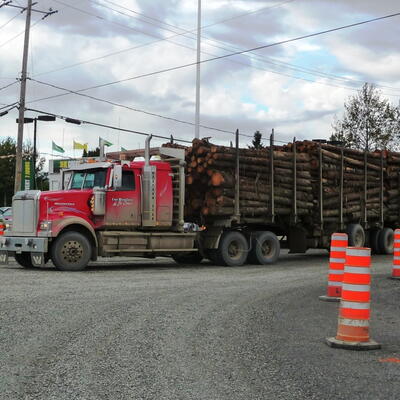 houthakkers het jaar rond