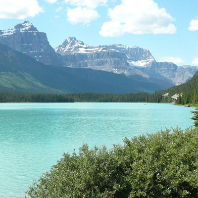 Peyto Lake langs de Icefields Parkway