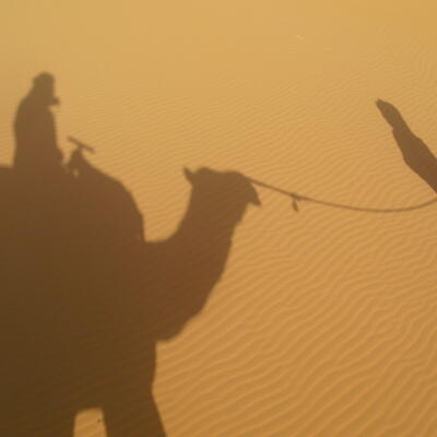 Kamelentocht in Merzouga