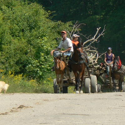 Traditioneel transport in Roemenie