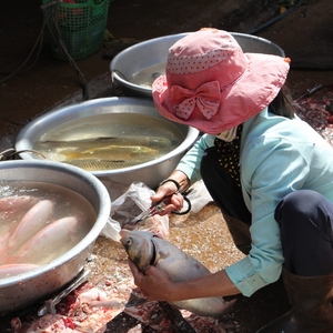 de vis wordt gekuisd en verkocht op de markt van Thang Long