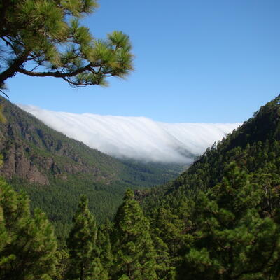 Caldera de Taburiente, La Palma