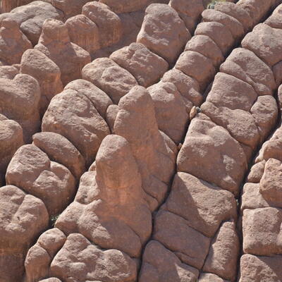 Doigts De Singes